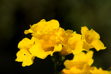 Similar image 15918909