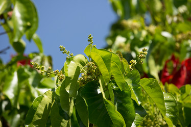 Similar image 15918910