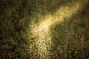 Similar image 15918913