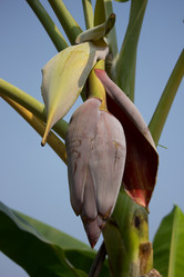 Similar image 15918922