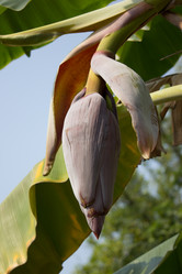 Similar image 15918923