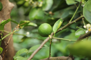 Similar image 15918894