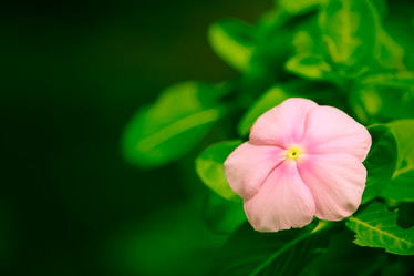 Similar image 15918934