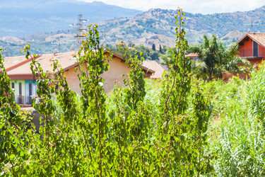 Similar image 16223787