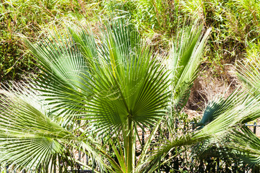 Similar image 16223804