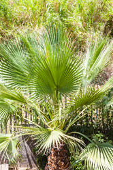 Similar image 16223843