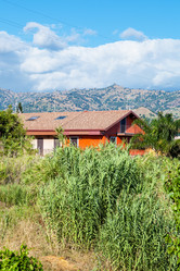 Similar image 16223847