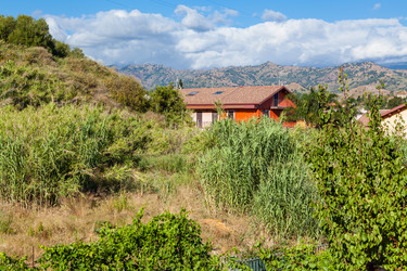 Similar image 16223883