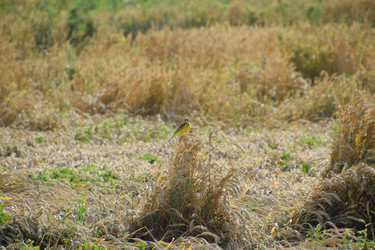 Similar image 16263774