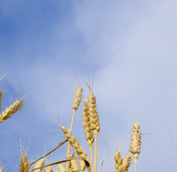 Similar image 16056169