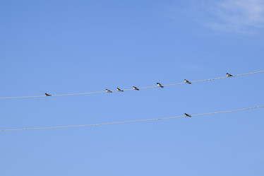 Similar image 16222503