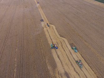 Similar image 16056184