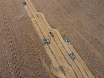 Similar image 16056213