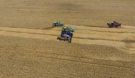 Similar image 16056230