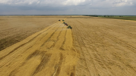 Similar image 16222288