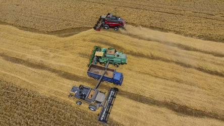 Similar image 16222291