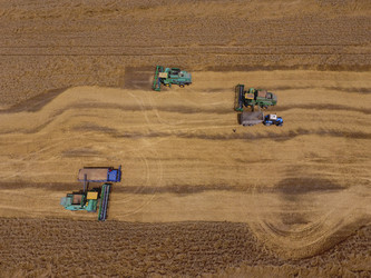 Similar image 16222301