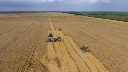 Similar image 16222906