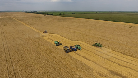 Similar image 16222909