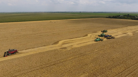 Similar image 16222911