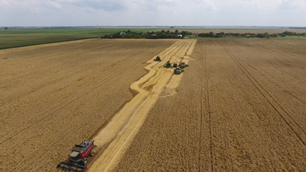 Similar image 16222912