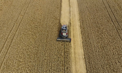 Similar image 16222476