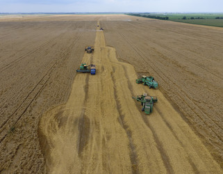 Similar image 16263805