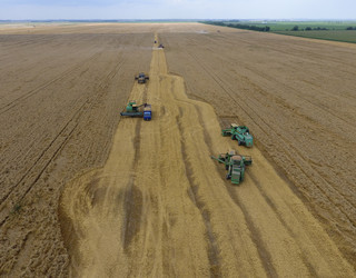 Similar image 16264695