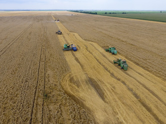 Similar image 16264714