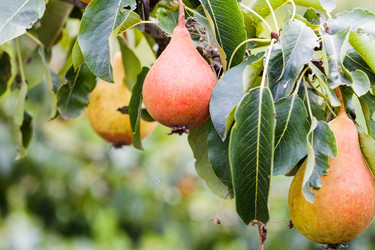 Similar image 16223742