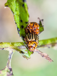 Similar image 16223756