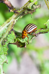 Similar image 16223766