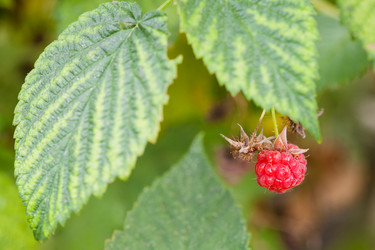 Similar image 16224850