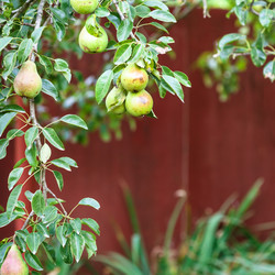 Similar image 16224869