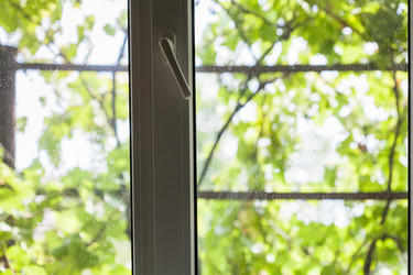 Similar image 16225046