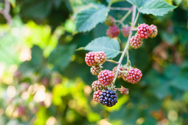 Similar image 16225083