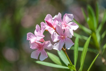 Similar image 15927694