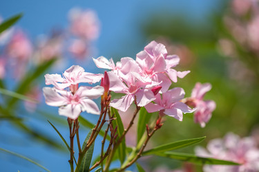 Similar image 15927695