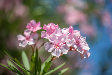 Similar image 15927699