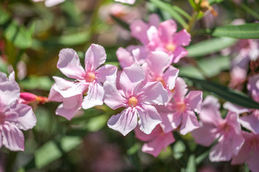 Similar image 15927700