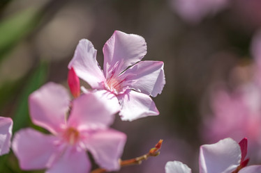 Similar image 15927701