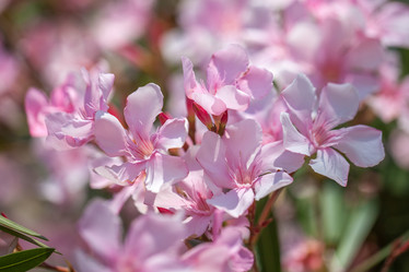 Similar image 15927702