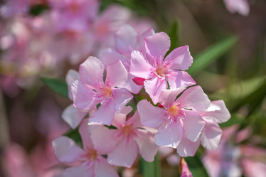 Similar image 15927706