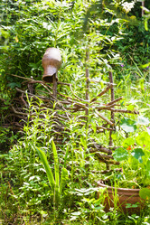 Similar image 16224674