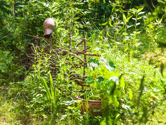 Similar image 16224689