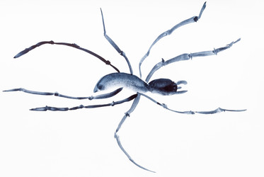 Similar image 16224708