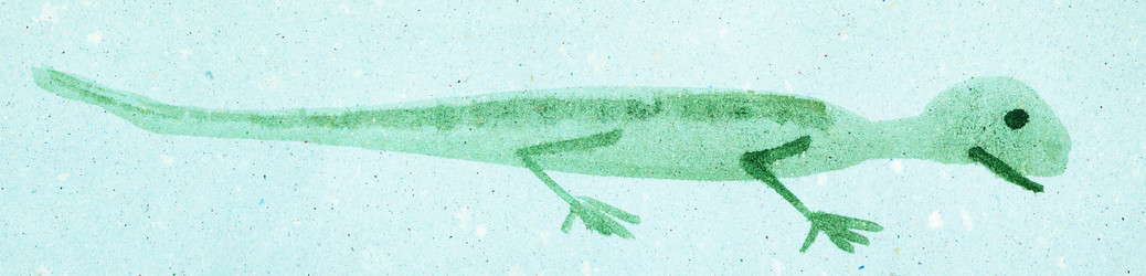 Similar image 16224733