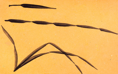 Similar image 16224734