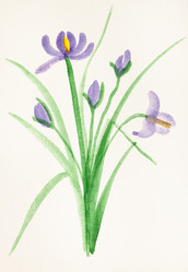 Similar image 16224748