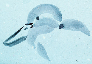 Similar image 16224820